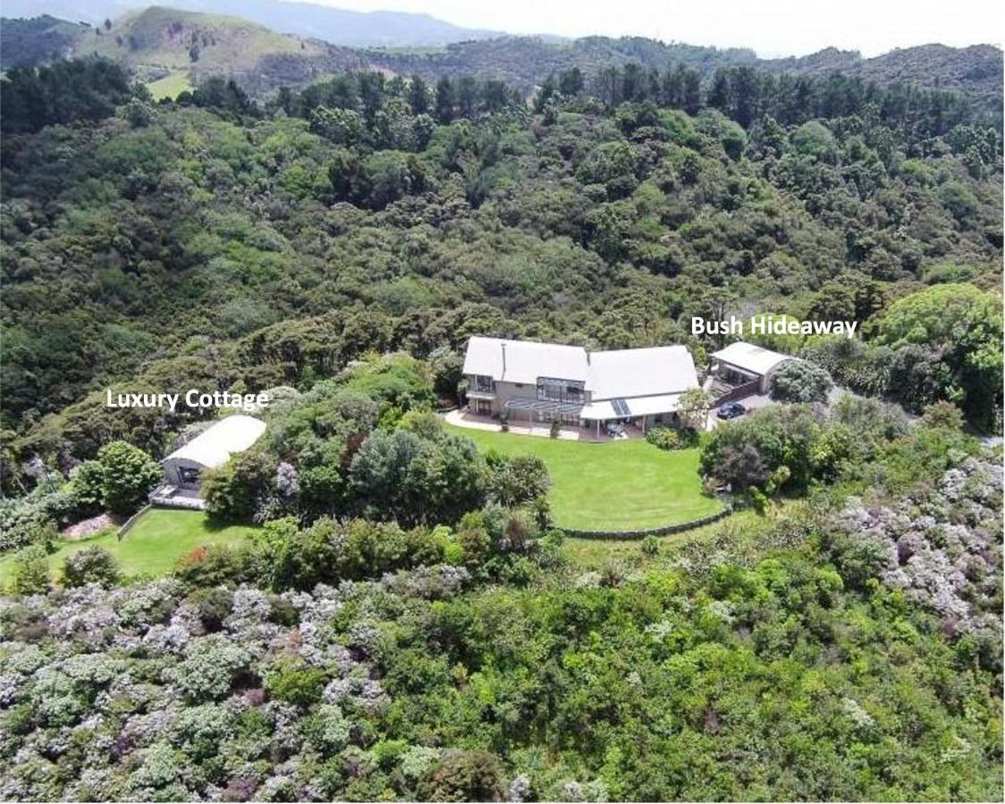 Kaka Ridge Retreat Bush Hideaway Apartment Tawharanui Exterior photo